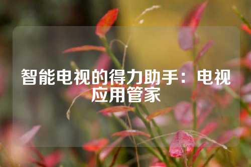 智能电视的得力助手：电视应用管家