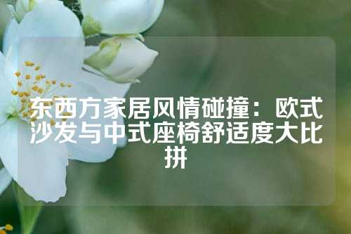 东西方家居风情碰撞：欧式沙发与中式座椅舒适度大比拼