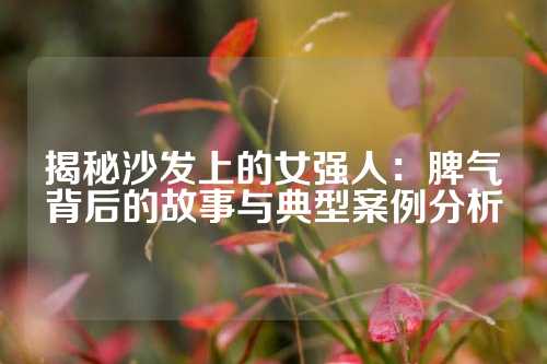 揭秘沙发上的女强人：脾气背后的故事与典型案例分析