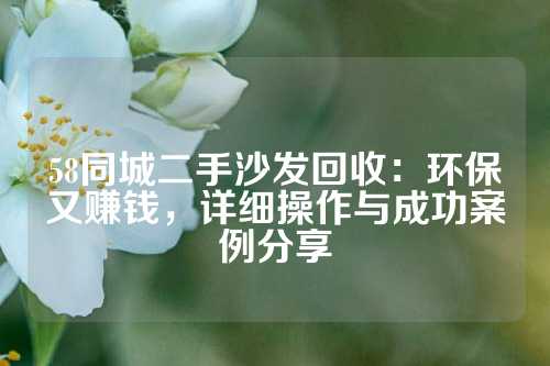 58同城二手沙发回收：环保又赚钱，详细操作与成功案例分享