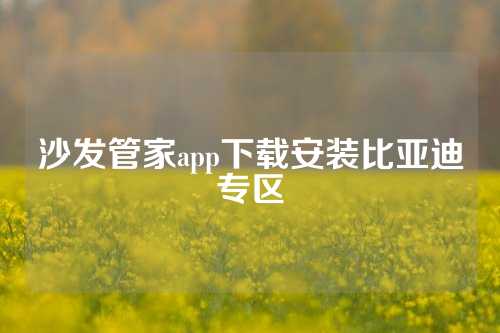 沙发管家app下载安装比亚迪专区