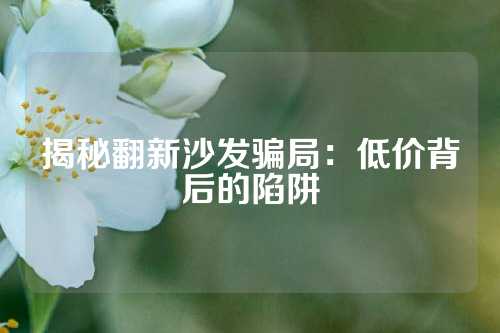 揭秘翻新沙发骗局：低价背后的陷阱