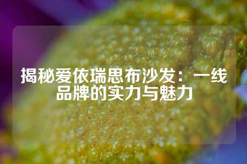 揭秘爱依瑞思布沙发：一线品牌的实力与魅力