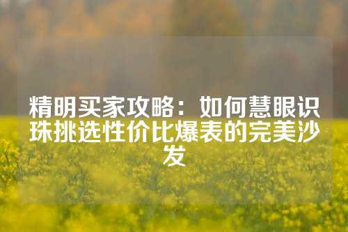 精明买家攻略：如何慧眼识珠挑选性价比爆表的完美沙发