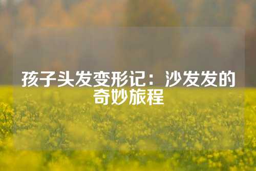 孩子头发变形记：沙发发的奇妙旅程