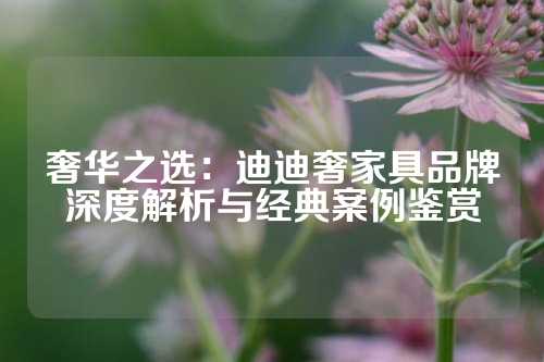 奢华之选：迪迪奢家具品牌深度解析与经典案例鉴赏