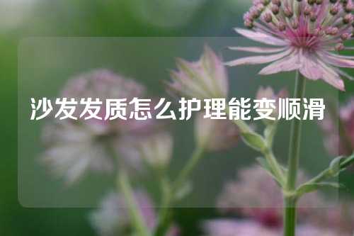 沙发发质怎么护理能变顺滑