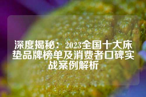 深度揭秘:2023全国十大床垫品牌榜单及消费者口碑实战案例解析