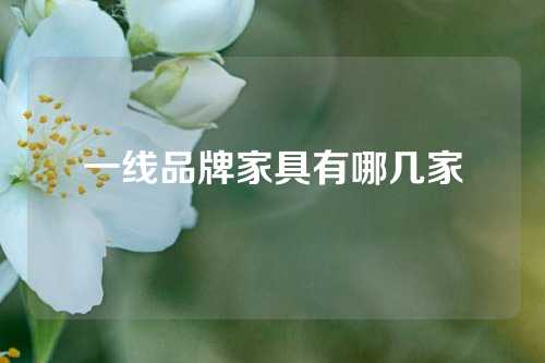 一线品牌家具有哪几家