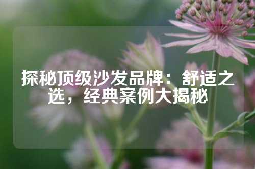探秘顶级沙发品牌：舒适之选，经典案例大揭秘
