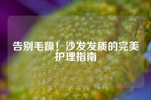 告别毛躁！沙发发质的完美护理指南