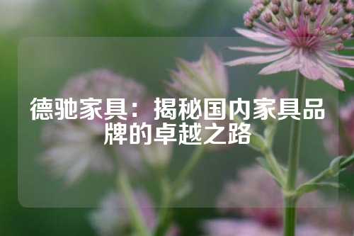 德驰家具：揭秘国内家具品牌的卓越之路