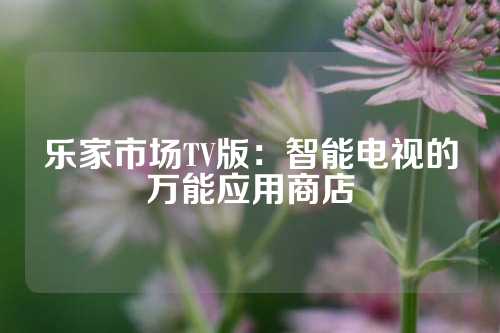 乐家市场TV版：智能电视的万能应用商店