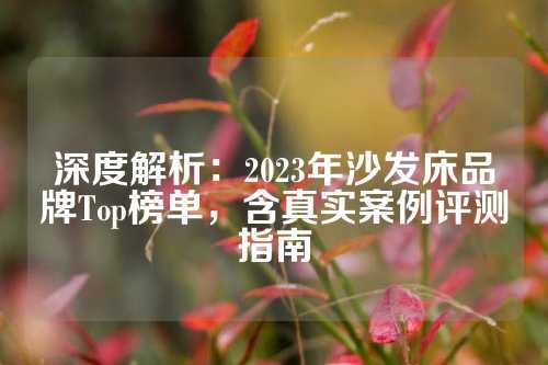 深度解析：2023年沙发床品牌Top榜单，含真实案例评测指南
