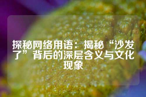 探秘网络用语：揭秘“沙发了”背后的深层含义与文化现象
