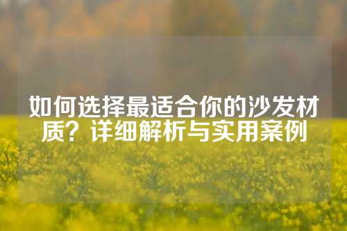 如何选择最适合你的沙发材质？详细解析与实用案例