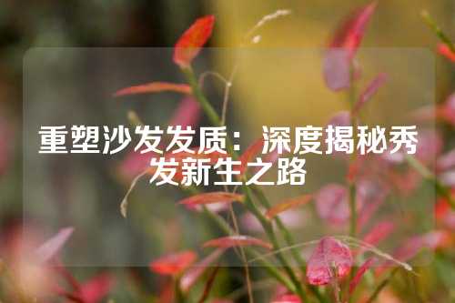 重塑沙发发质：深度揭秘秀发新生之路