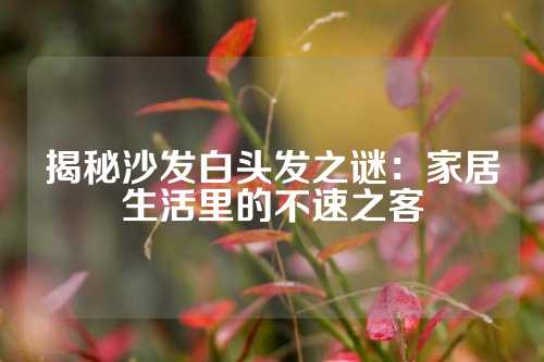揭秘沙发白头发之谜：家居生活里的不速之客