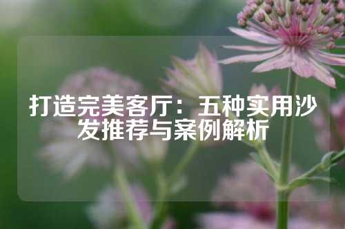 打造完美客厅：五种实用沙发推荐与案例解析