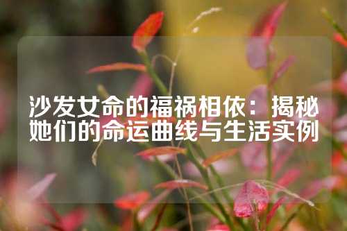 沙发女命的福祸相依：揭秘她们的命运曲线与生活实例