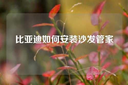 比亚迪如何安装沙发管家