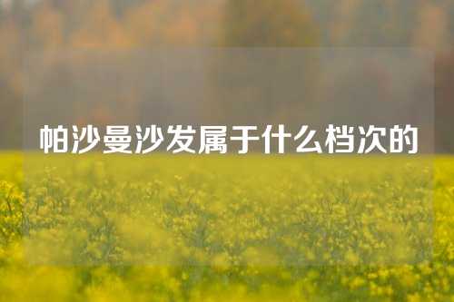 帕沙曼沙发属于什么档次的