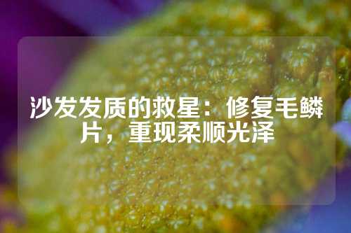 沙发发质的救星：修复毛鳞片，重现柔顺光泽