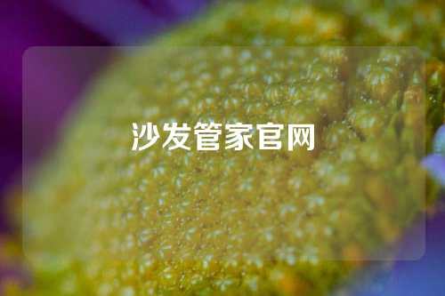 沙发管家官网