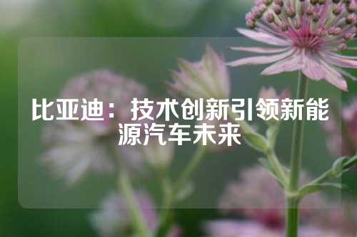 比亚迪：技术创新引领新能源汽车未来