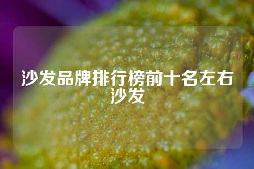 沙发品牌排行榜前十名左右沙发