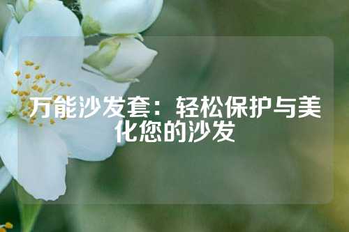 万能沙发套：轻松保护与美化您的沙发