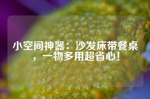 小空间神器：沙发床带餐桌，一物多用超省心！