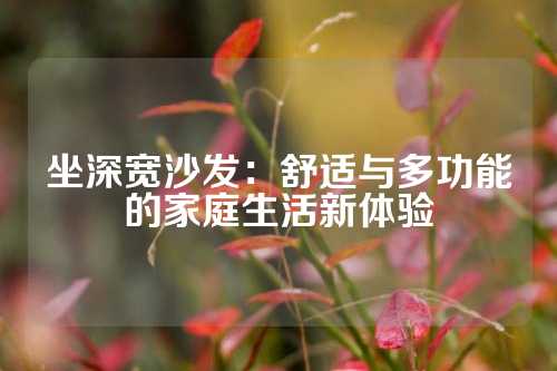 坐深宽沙发：舒适与多功能的家庭生活新体验