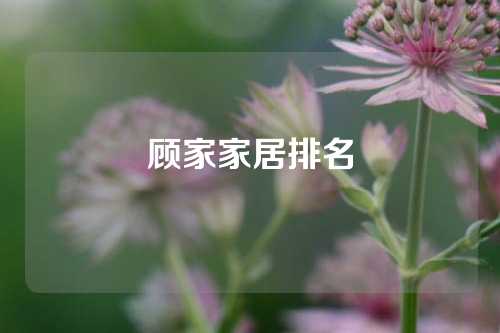 顾家家居排名