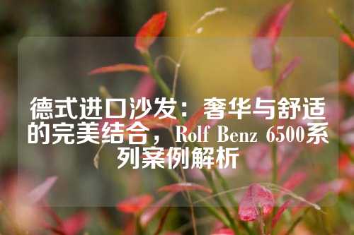 德式进口沙发：奢华与舒适的完美结合，Rolf Benz 6500系列案例解析