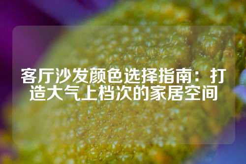 客厅沙发颜色选择指南：打造大气上档次的家居空间