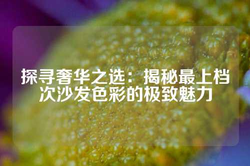 探寻奢华之选：揭秘最上档次沙发色彩的极致魅力