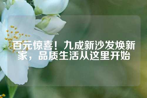 百元惊喜！九成新沙发焕新家，品质生活从这里开始