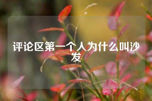 评论区第一个人为什么叫沙发
