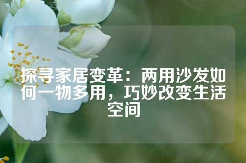 探寻家居变革：两用沙发如何一物多用，巧妙改变生活空间