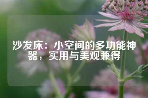沙发床：小空间的多功能神器，实用与美观兼得