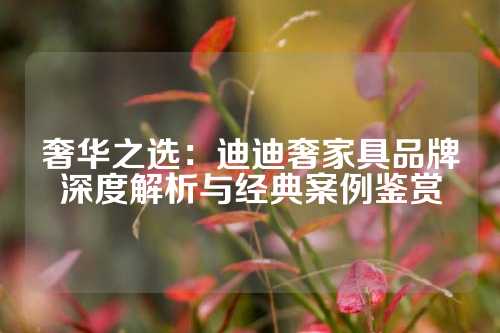 奢华之选：迪迪奢家具品牌深度解析与经典案例鉴赏