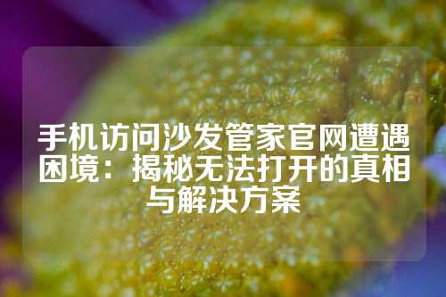 手机访问沙发管家官网遭遇困境：揭秘无法打开的真相与解决方案