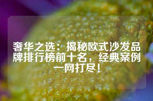 奢华之选：揭秘欧式沙发品牌排行榜前十名，经典案例一网打尽！