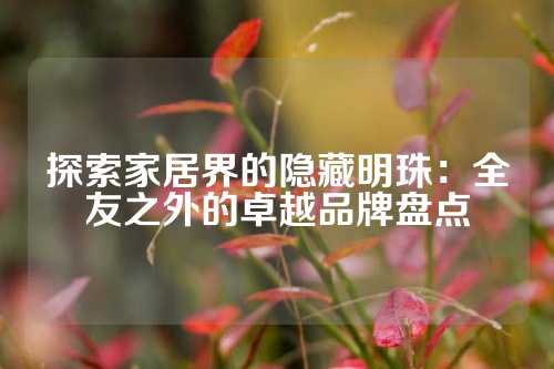 探索家居界的隐藏明珠：全友之外的卓越品牌盘点