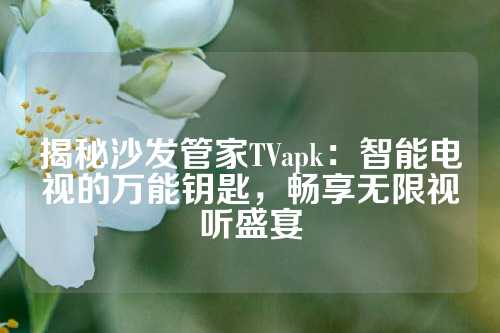 揭秘沙发管家TVapk：智能电视的万能钥匙，畅享无限视听盛宴