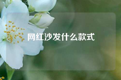 网红沙发什么款式