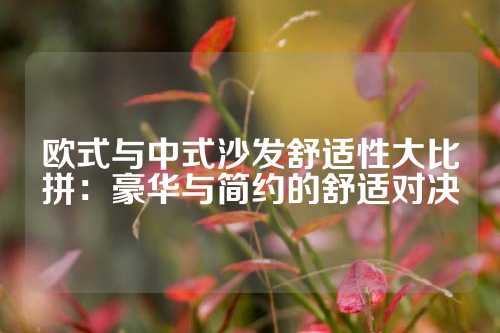 欧式与中式沙发舒适性大比拼：豪华与简约的舒适对决