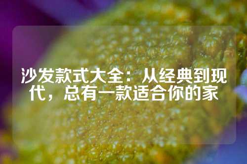 沙发款式大全：从经典到现代，总有一款适合你的家