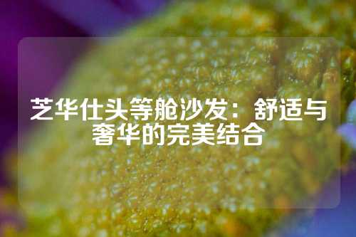 芝华仕头等舱沙发：舒适与奢华的完美结合
